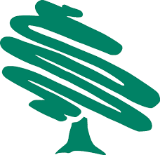 Arbor Montessori School